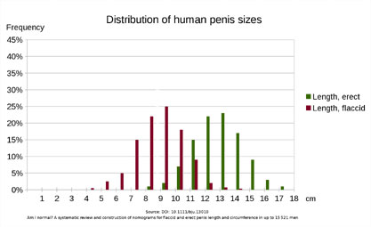 陰茎サイズの分布。勃起した陰茎(緑)