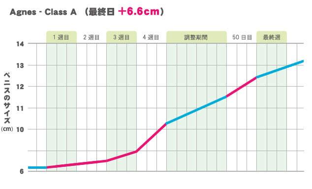 Agnes/アニエス　Class-Aの増大推移グラフ